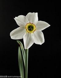 学校防疫情文案简短 学校防疫情文案(精选)(精选30句)