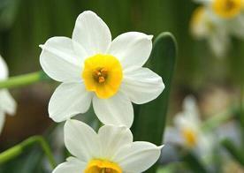 冬至说说温暖走心 适合冬至发的朋友圈