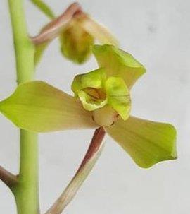 春天个性签名唯美句子25句