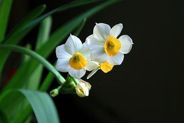 家长写给老师的话66句