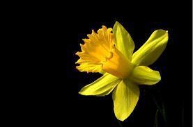 2020结婚红包搞笑祝福语