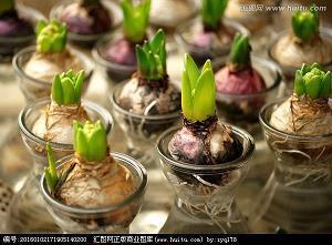 2021中秋节简单祝福语录文案(精选95条)