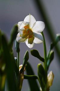 最新心情低落说说发朋友圈