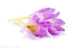 2021元宵节发给朋友唯美短信祝福语