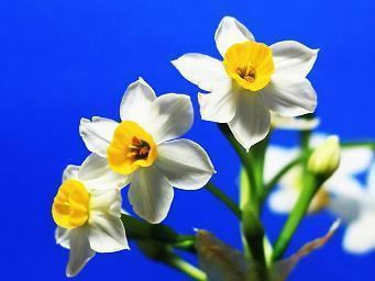 作文素材神仙句子 坠入星河的温柔仙句(精选85句)