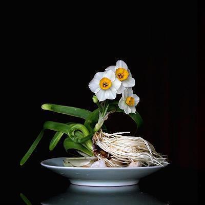 2021教师节的祝福用语10字精选(精选59条)
