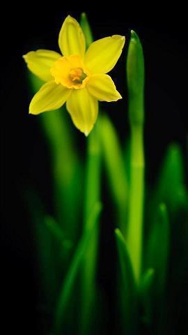 抖音最近很火的晚安句子44句