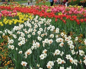 句句心酸的爱情句子 得不到也放不下伤感说说