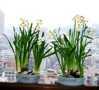 天热吃冰淇淋的说说