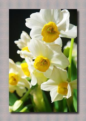 关于分手的说说图片