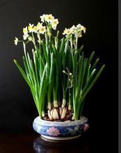 2020给老师的中秋节祝福语简短