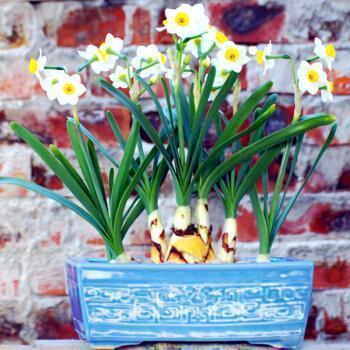 最新一句话说说超短霸气 余生还很长你不必慌张