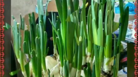 对老婆失望的句子说说心情