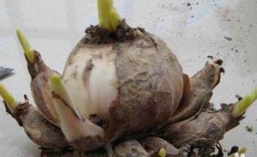 2021年38妇女节简短祝福语