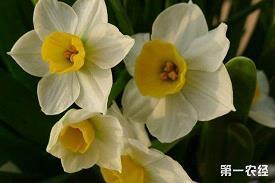 微信早安说说心语 一句话早安心语句子22句