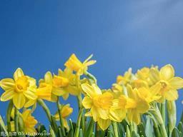 夏天美丽的心情说说30句