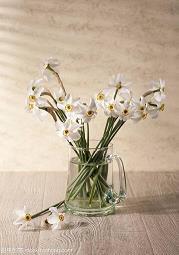 2021年牛年春节拜年祝福语