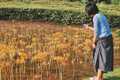 女人的心情说说 女人说说心情短语