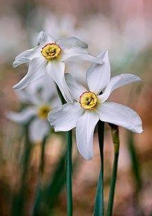 堵车适合发朋友圈文案(精选31句)