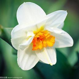 2020年感恩节祝福语