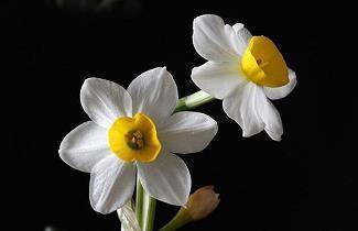 人生哲理枕边书的人生感悟句子