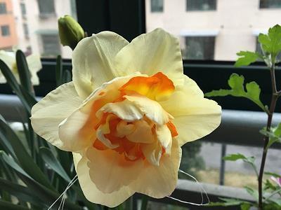 今日立春的网络优美句子105句