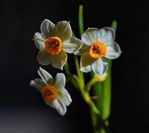 24节气立冬时节唯美祝福寄语(精选78句)