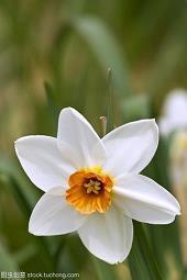 关于夏天到来的文案 盼望夏天清新的文案句子