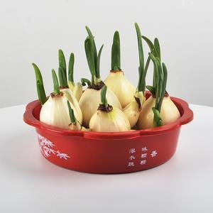 丹渊