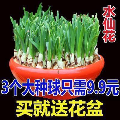 2020长辈生日快乐祝福语