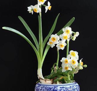 最新有关人生道路励志说说大全 看完了元气满满的励志句子