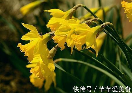 学会自律的励志格言75句