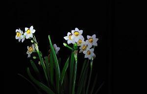 2021建军节朋友圈文案短句(精选58句)