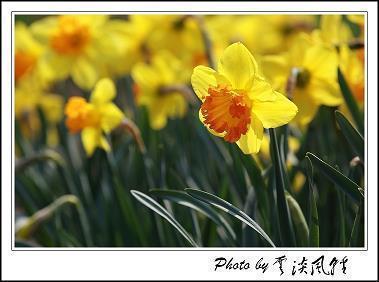 2021年春节祝福语顺口溜