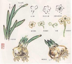 形容黄昏和落霞的句子82句