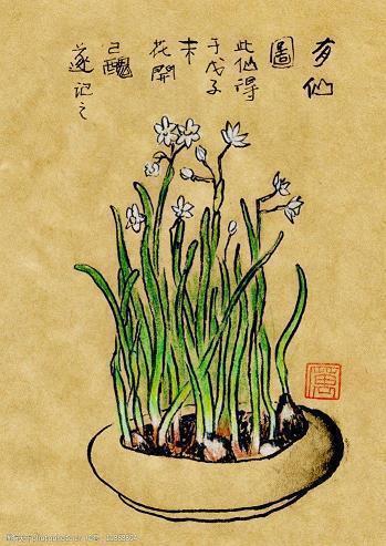 木牐