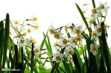 心里委屈的伤感句子 总是这样，很难过又很难说