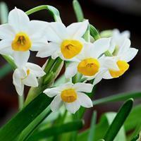 对大家庭失望的句子