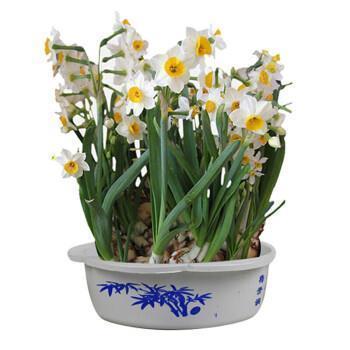 2021母亲节祝福语朋友圈文案合集98句