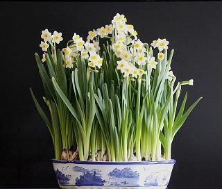 形容左右为难的句子 描写人左右为难的句子