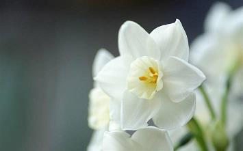 2021年高考加油经典励志句子文案汇总77句