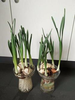 2021有关时间流逝很快的句子(精选79句)