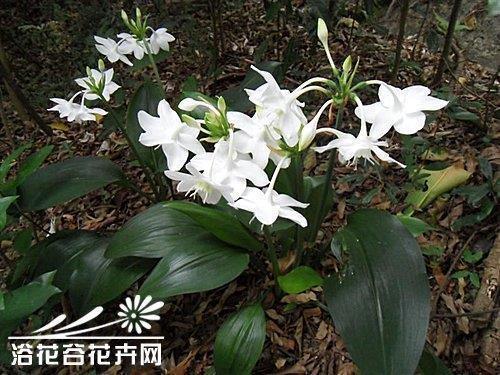 2021高考前朋友圈祝福语短信汇总52句