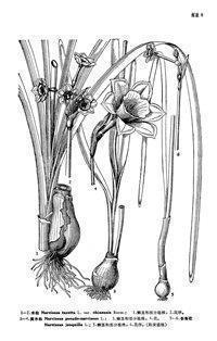 学会释怀的说说