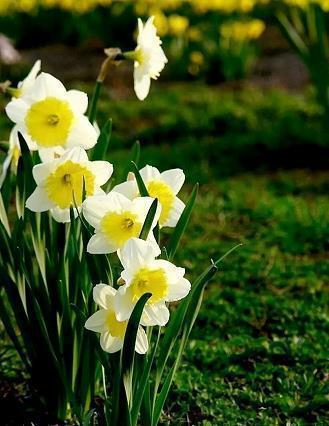 去爬山的句子发朋友圈 爬山心情发朋友圈句子(精选31句)