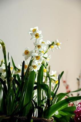 2021元宵节给爸爸妈妈的微信祝福语父母