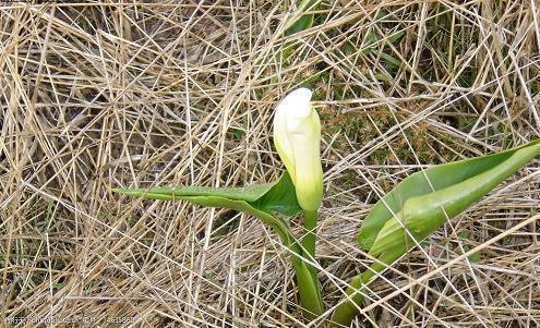 2021建党一百周年红色经典语录说说