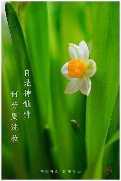 贫仕
