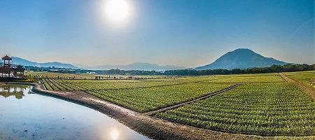 晚安朋友圈正能量句子 晚安心语简短一句话