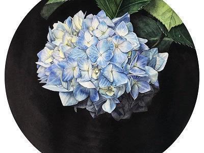蹈雅